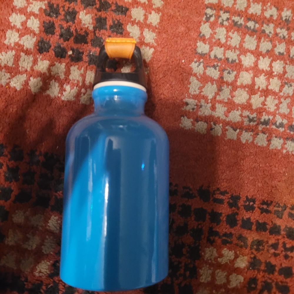Vuitton water bottle